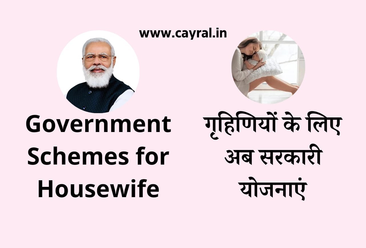 Government Schemes for Housewife: गृहिणियों के लिए अब सरकारी योजनाएं, जानें कैसे करें आवेदन