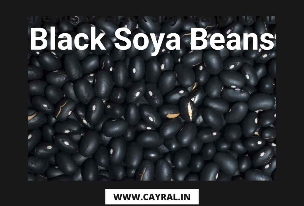 Benefits of Black Soybeans in hindi